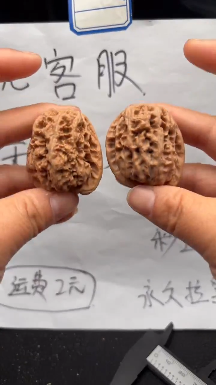 把件文玩核桃544将军膀