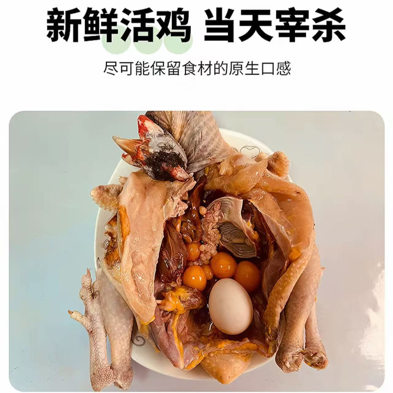 《飞禽珍朱鸡》珍禽活鸡现杀新鲜