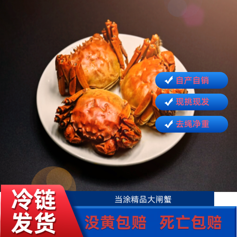 【活蟹现发】精品正品-公母搭配-5两4两-10只-礼盒装冷链现发