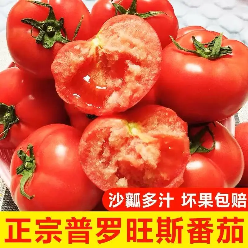 【次日达】普罗旺斯西红柿水果番茄沙瓤鲜嫩爆汁约4斤
