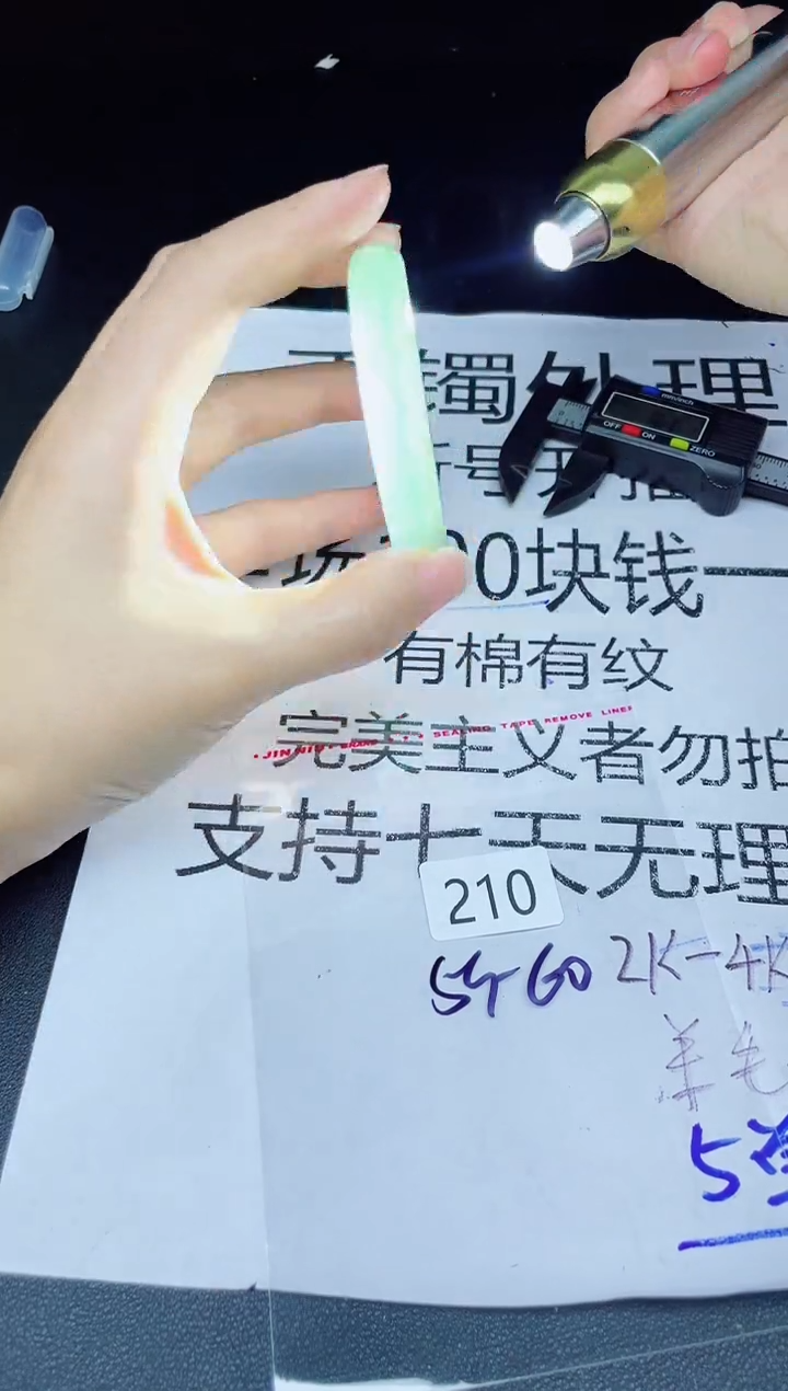 未镶嵌手镯翡翠210