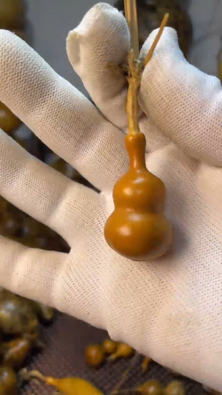 【闪购商品】葫芦葫芦葫芦葫芦葫芦