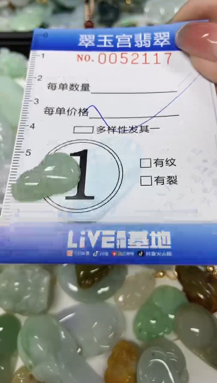 【闪购商品】翡翠颈饰未镶嵌闪购0052117