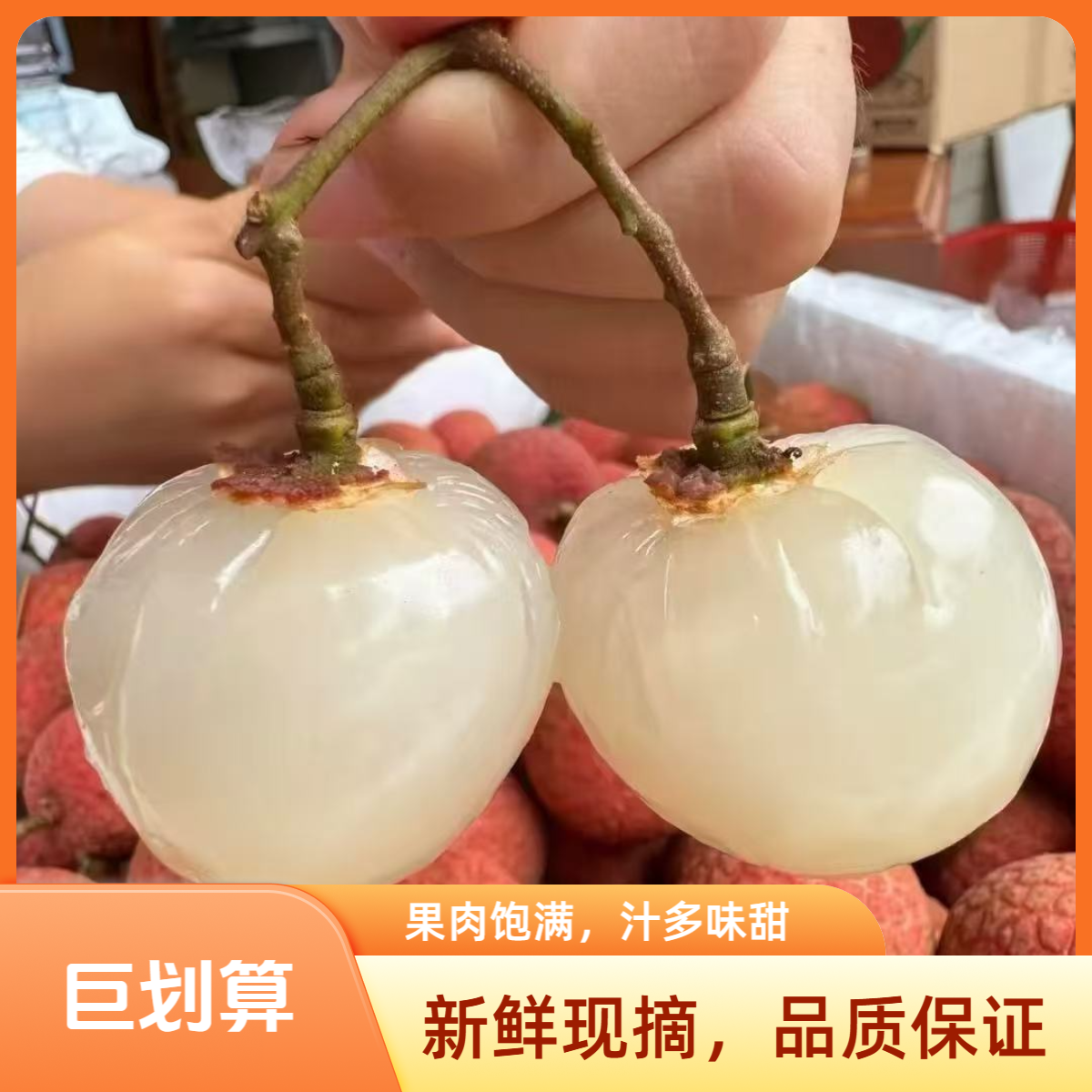 DB【次日达！顺丰京东】广东白糖罂荔枝不带枝叶1-5斤纯甜无酸荔枝同城送