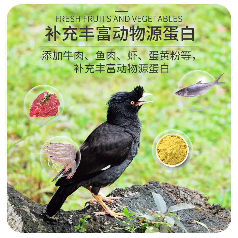 八哥专用鸟粮美毛亮羽营养全面适合多种八哥品种