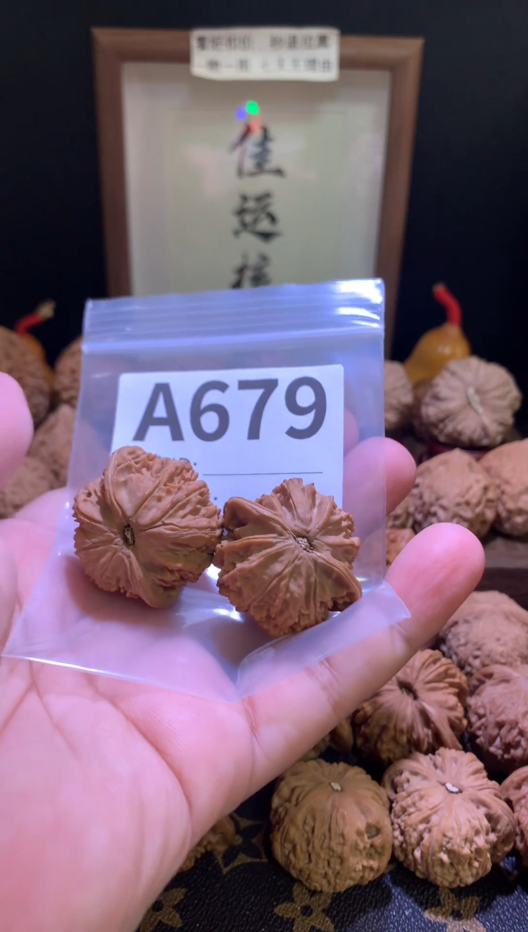 把件文玩核桃星辰36尺