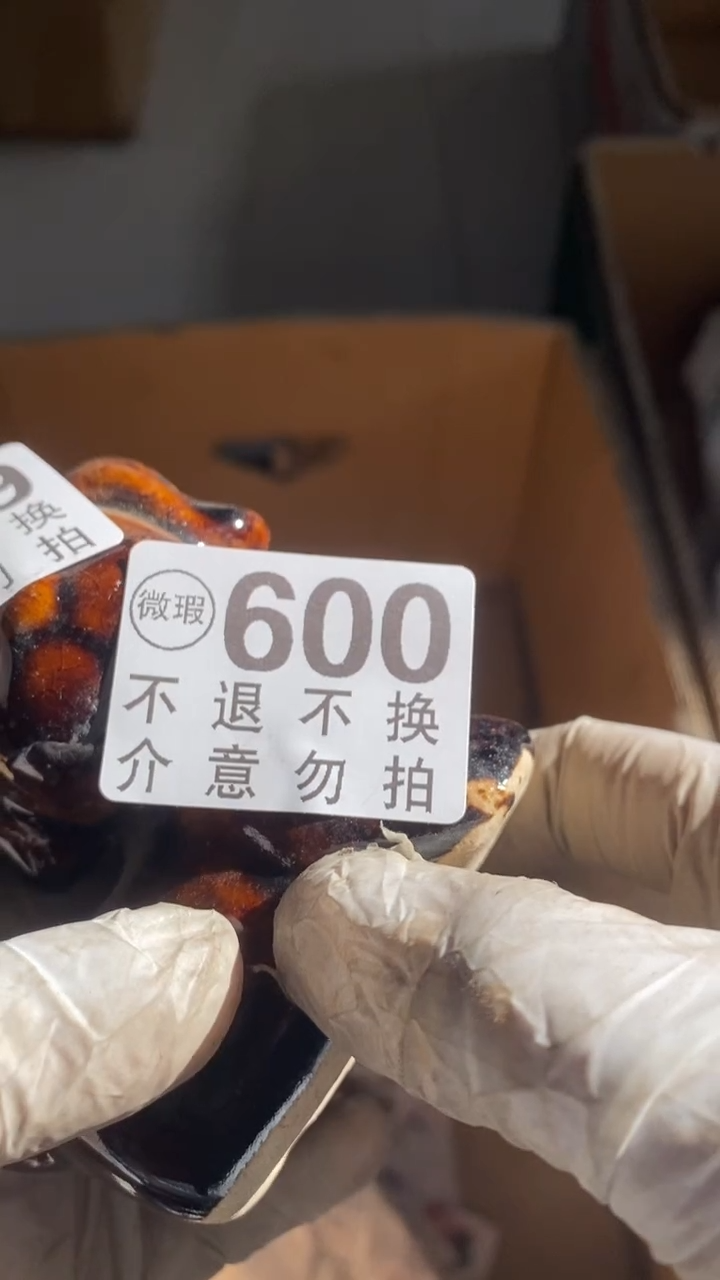 陶瓷追****书的功夫的风格