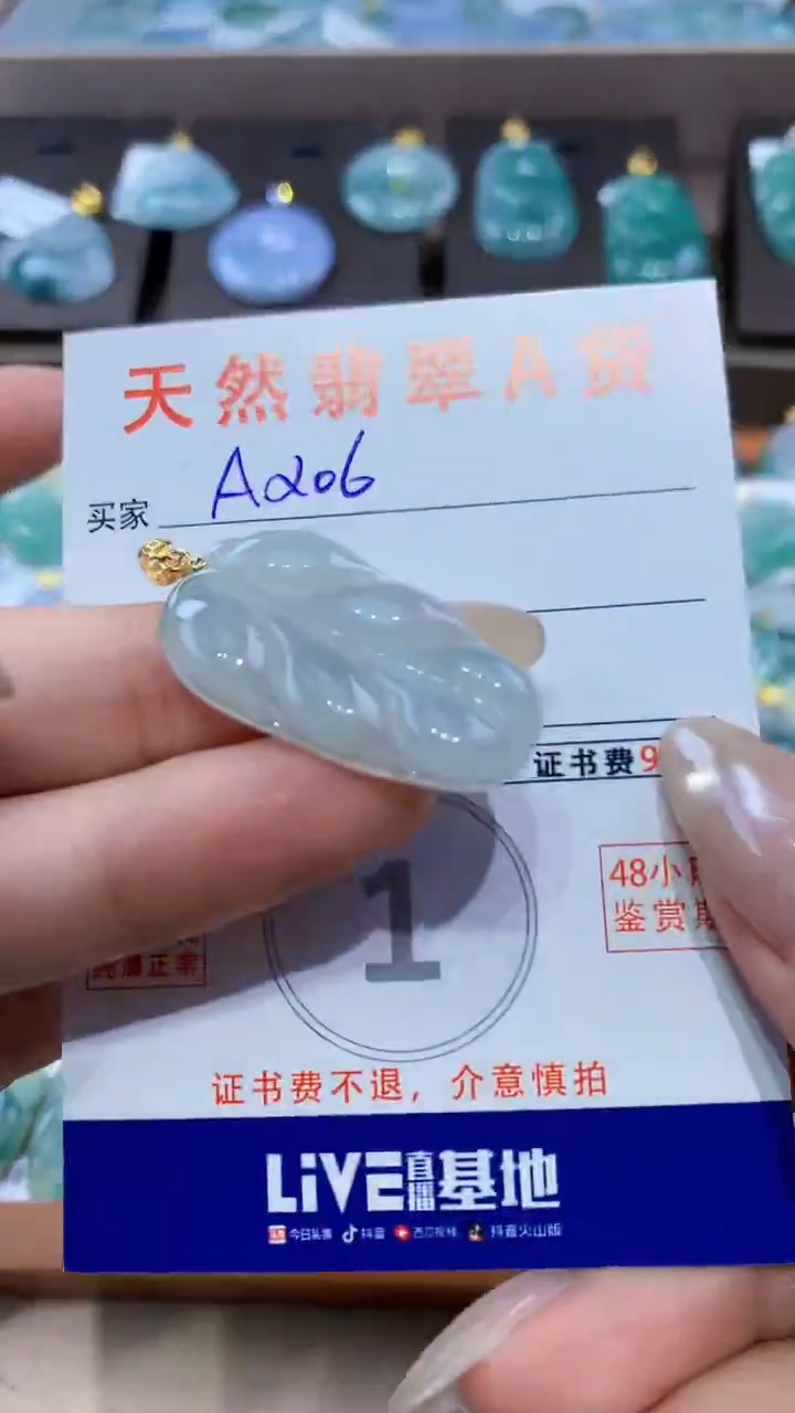 颈饰未镶嵌翡翠天然翡翠A货挂件