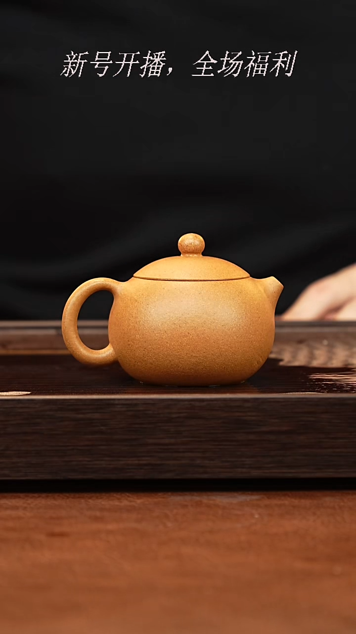 茶壶紫砂23y9黄金段西施160cc