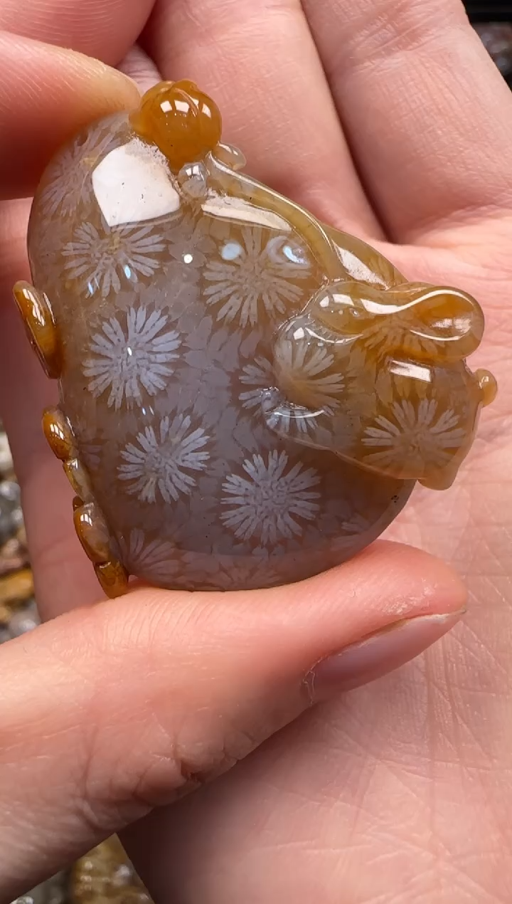 【闪购商品】硅化珊瑚（珊瑚玉）颈饰未镶嵌688