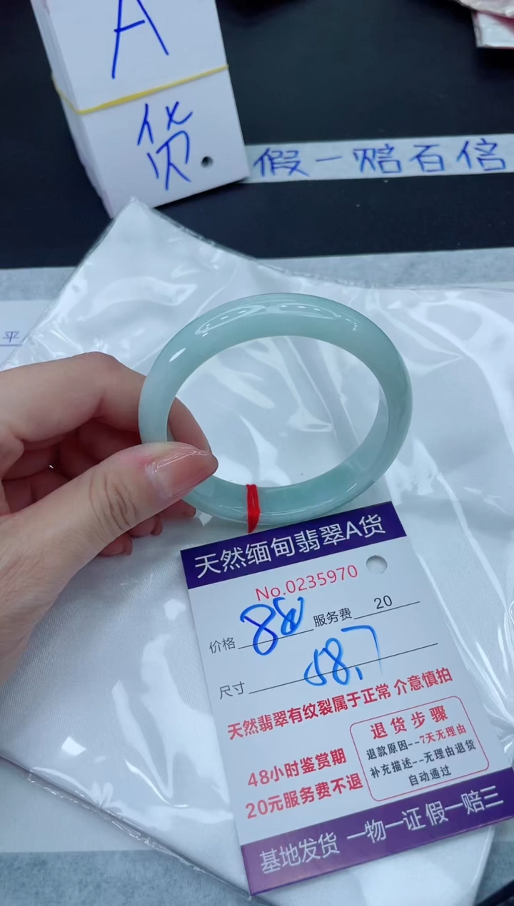 未镶嵌手镯翡翠880.0000