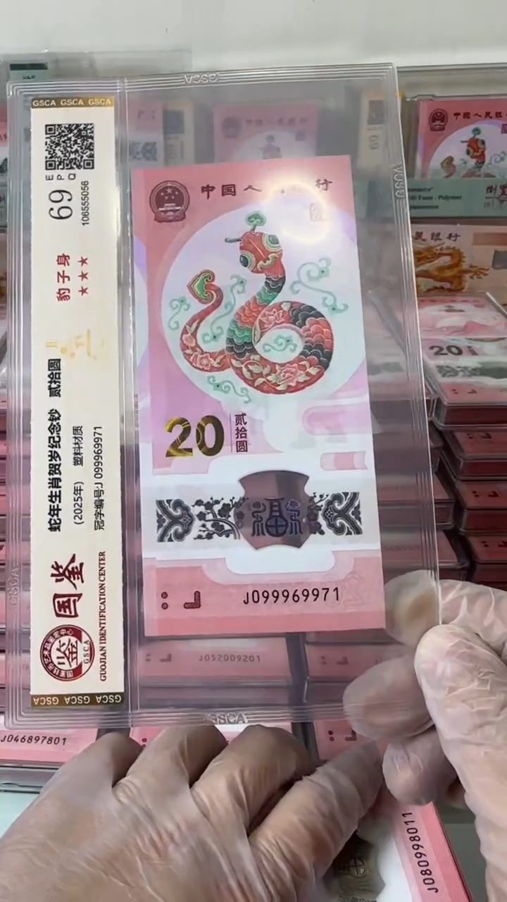 【闪购商品】塑料099969971-蛇钞单张！