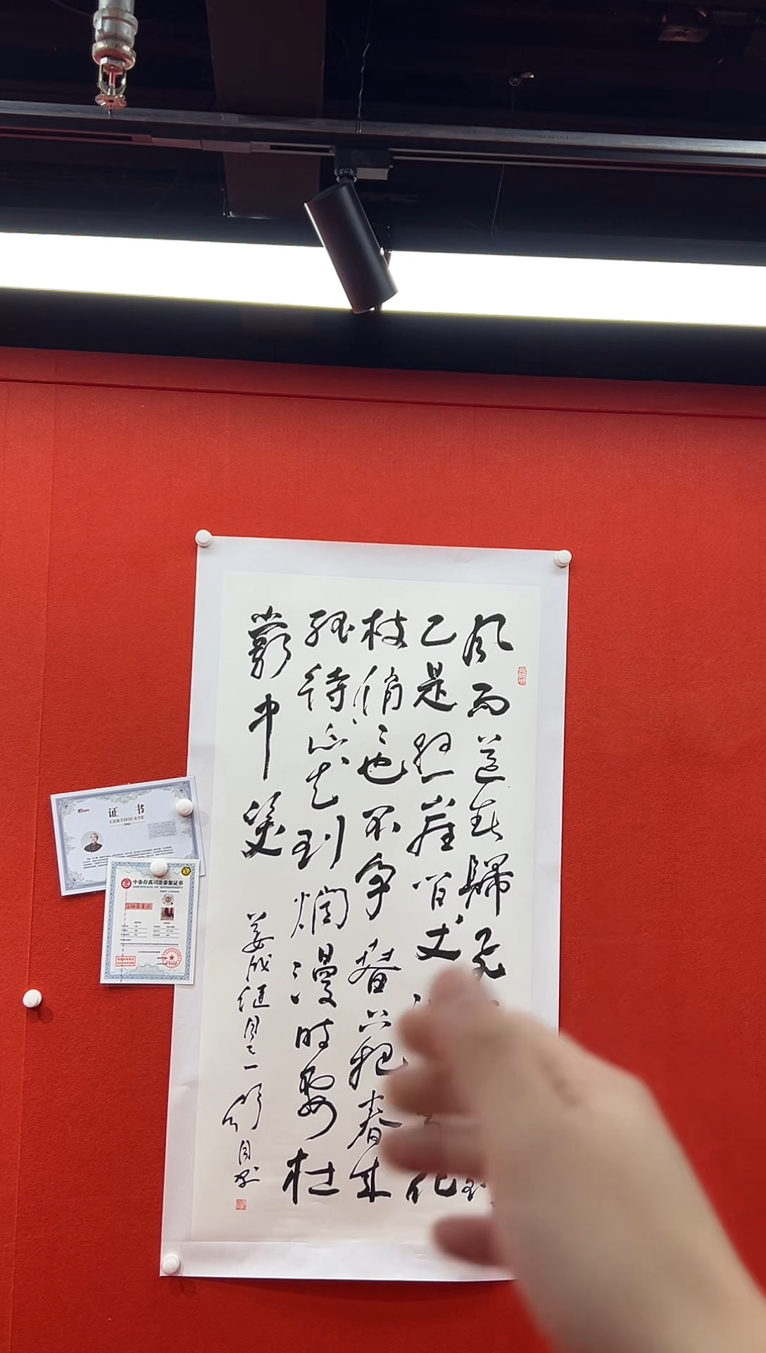 书法复星书画精选作品