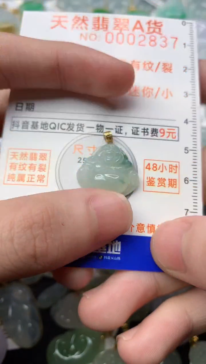 【闪购商品】翡翠颈饰18K金镶嵌5.........