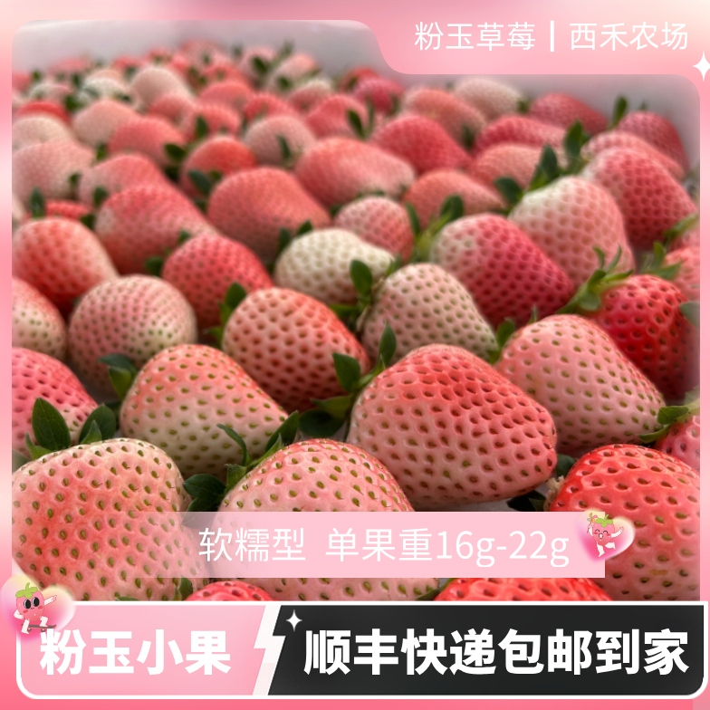 【西禾粉玉草莓】小果 现摘现发 新鲜粉玉草莓 坏果包赔 顺丰包邮