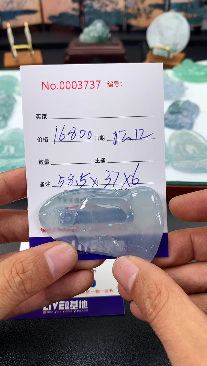 【闪购商品】翡翠颈饰未镶嵌封