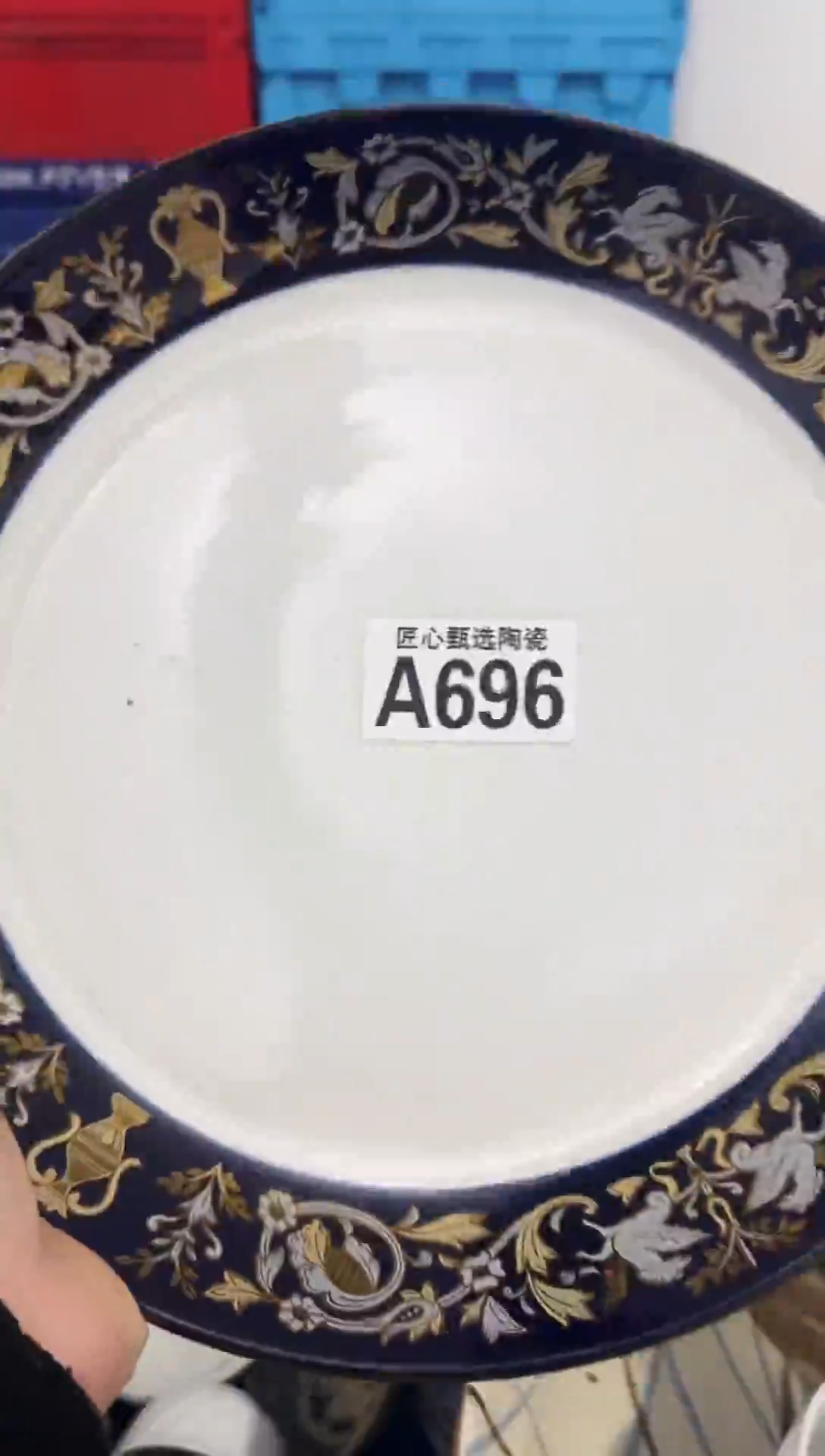 瓷片D           A696