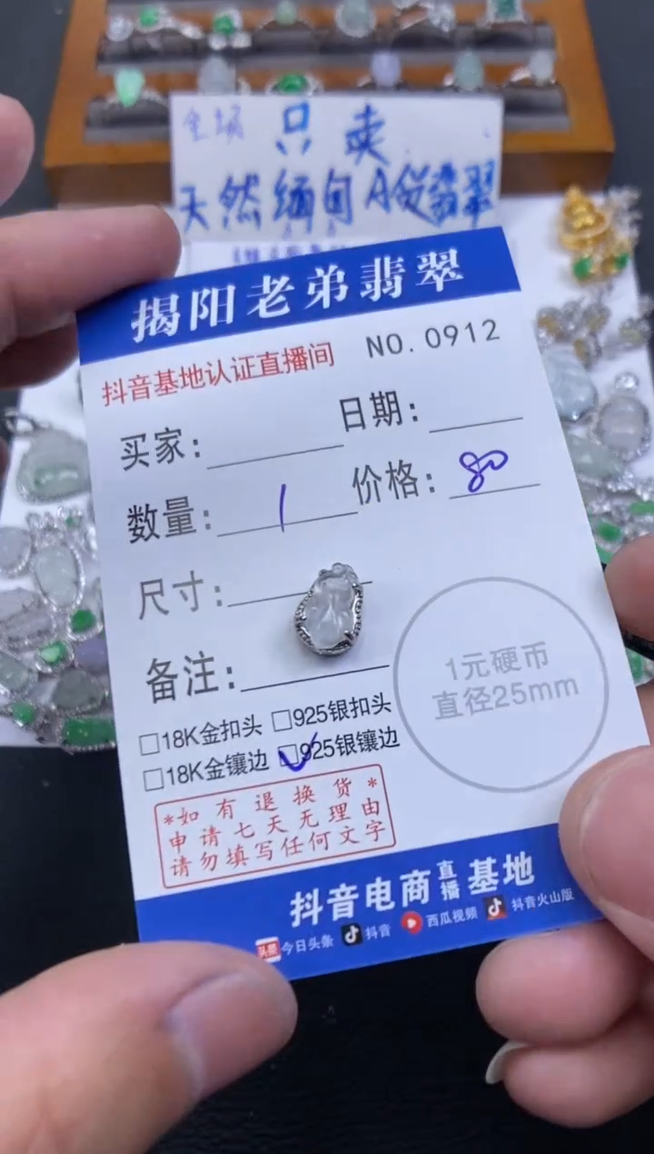【闪购商品】翡翠颈饰银S925镶嵌多样性发其中一件