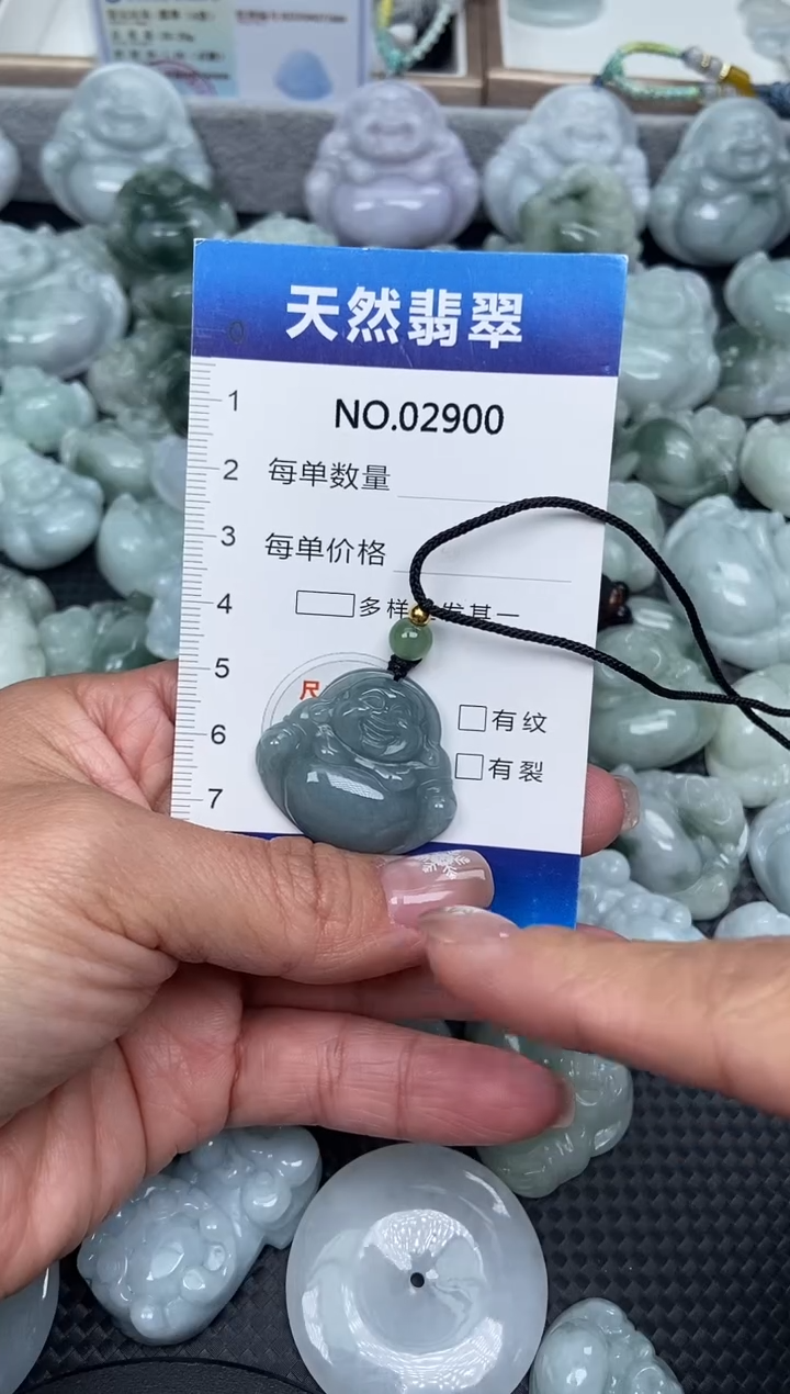 颈饰未镶嵌翡翠纯天然A货翡翠2900