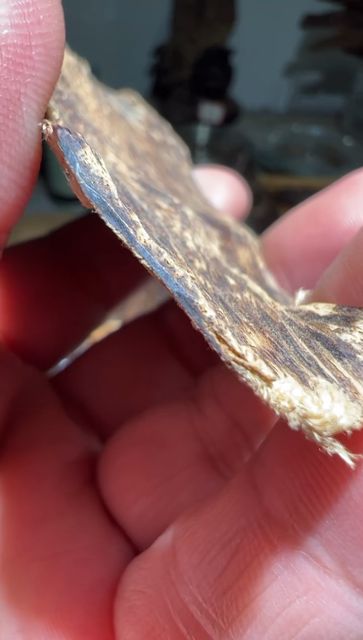 【闪购商品】沉香沉香碎屑菩萨棋7克