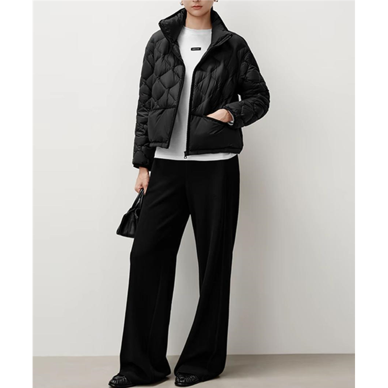 艾诺丝商场同款2025秋冬新款立领短款轻薄羽绒服女外套AR004002