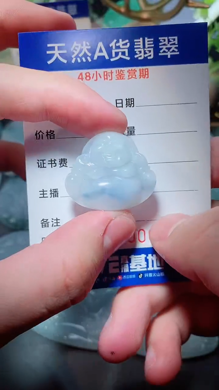 【闪购商品】翡翠颈饰未镶嵌天然A货翡翠一件