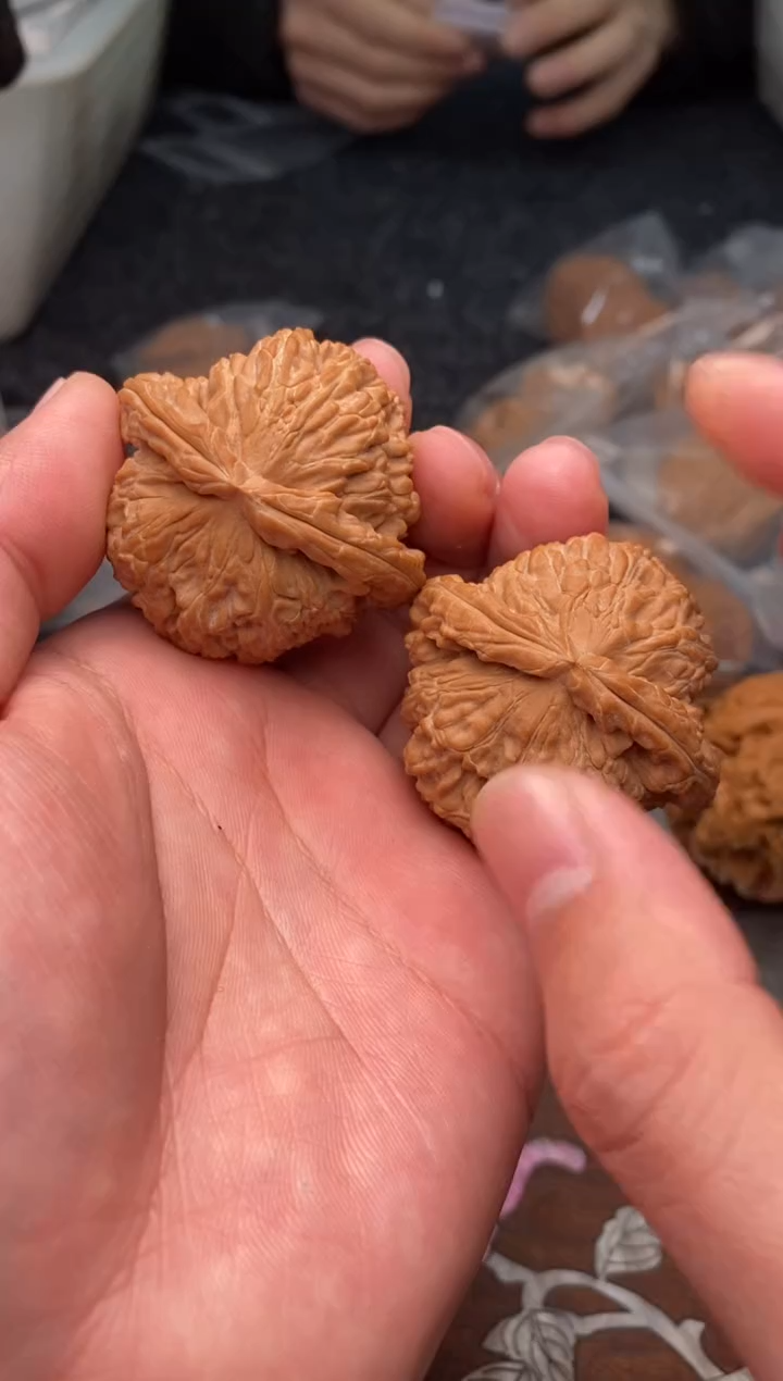 【闪购商品】文玩核桃把件G124号44尺白狮子（龟）