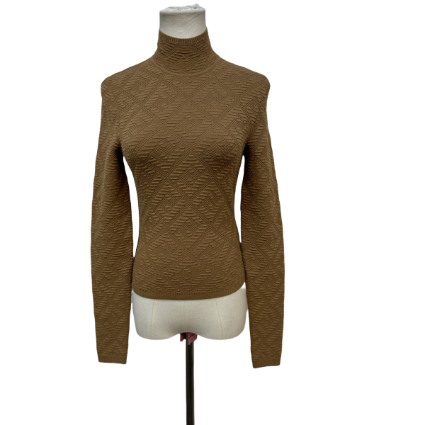 妃鱼/芬迪/粘胶纤维/上衣/95新/s零二一九