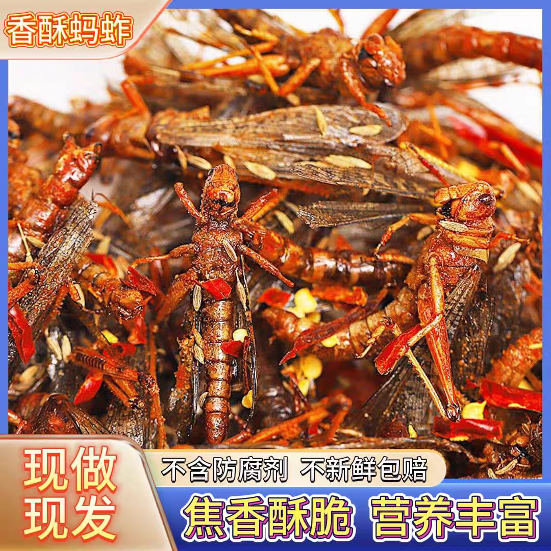 买2送2带翅香酥蚱蜢香脆油炸蝗虫食用下酒菜山东特产香辣孜然即食