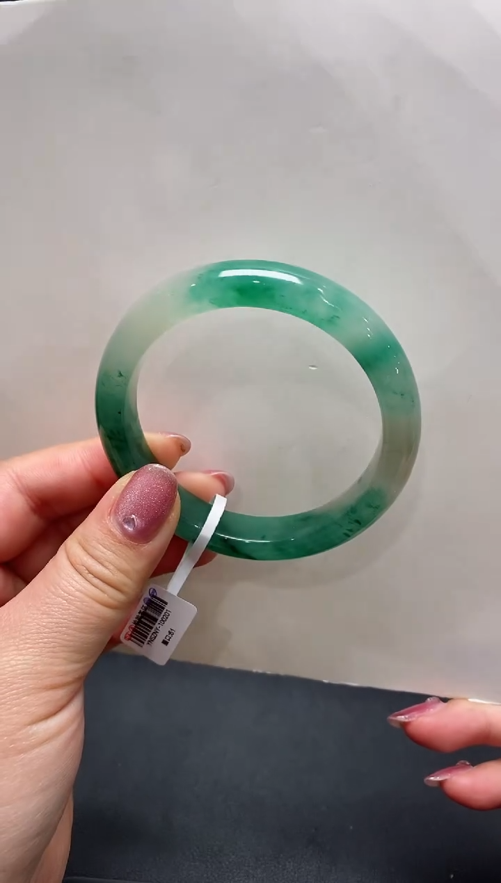 【闪购商品】石英质玉手镯未镶嵌非洲翠（独龙玉）04