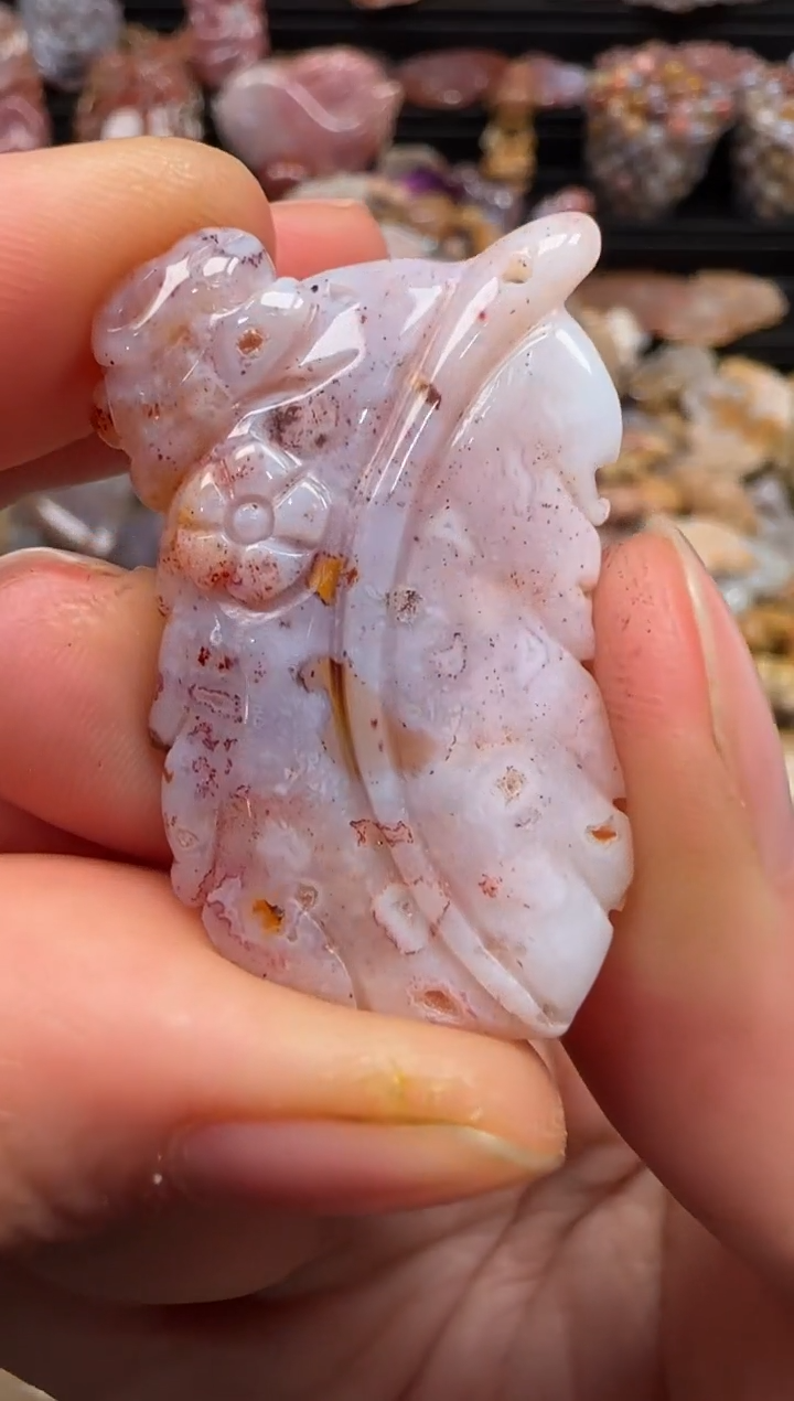 【闪购商品】硅化珊瑚（珊瑚玉）颈饰未镶嵌172