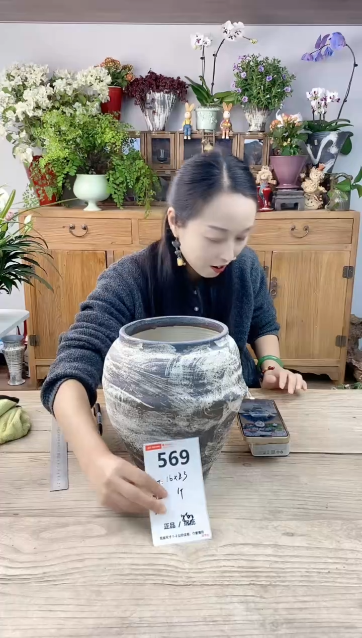 小玩子花盆直播编号569