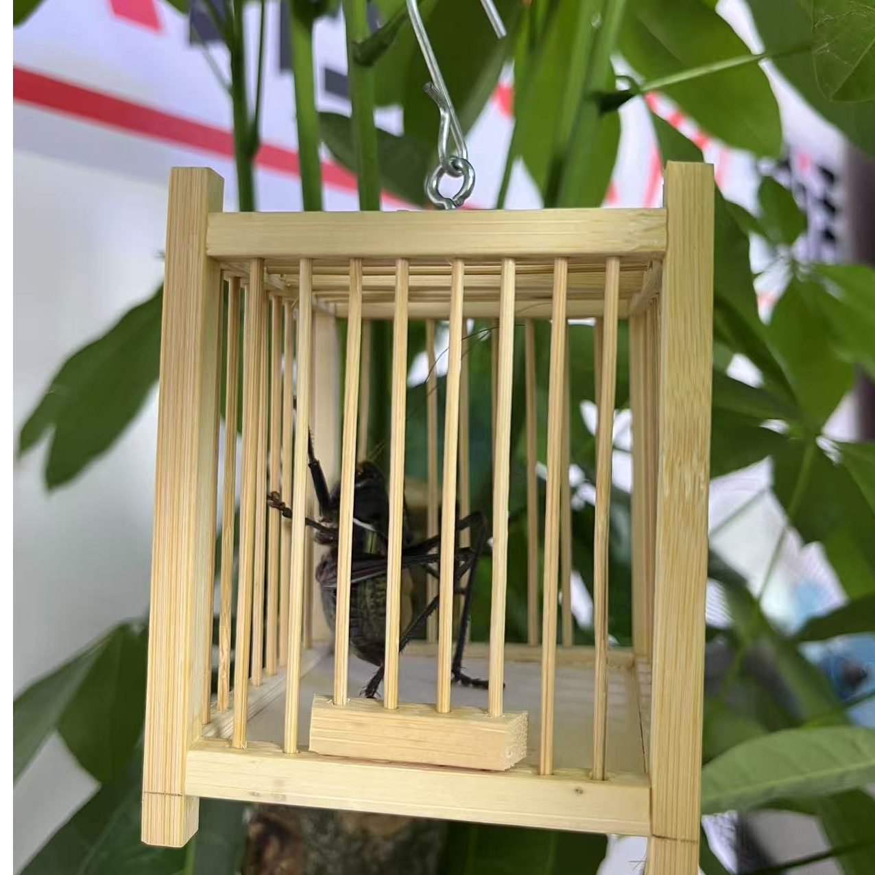 蝈蝈笼子 手工鸣虫笼子 竹制笼子 纯手工榫卯笼子