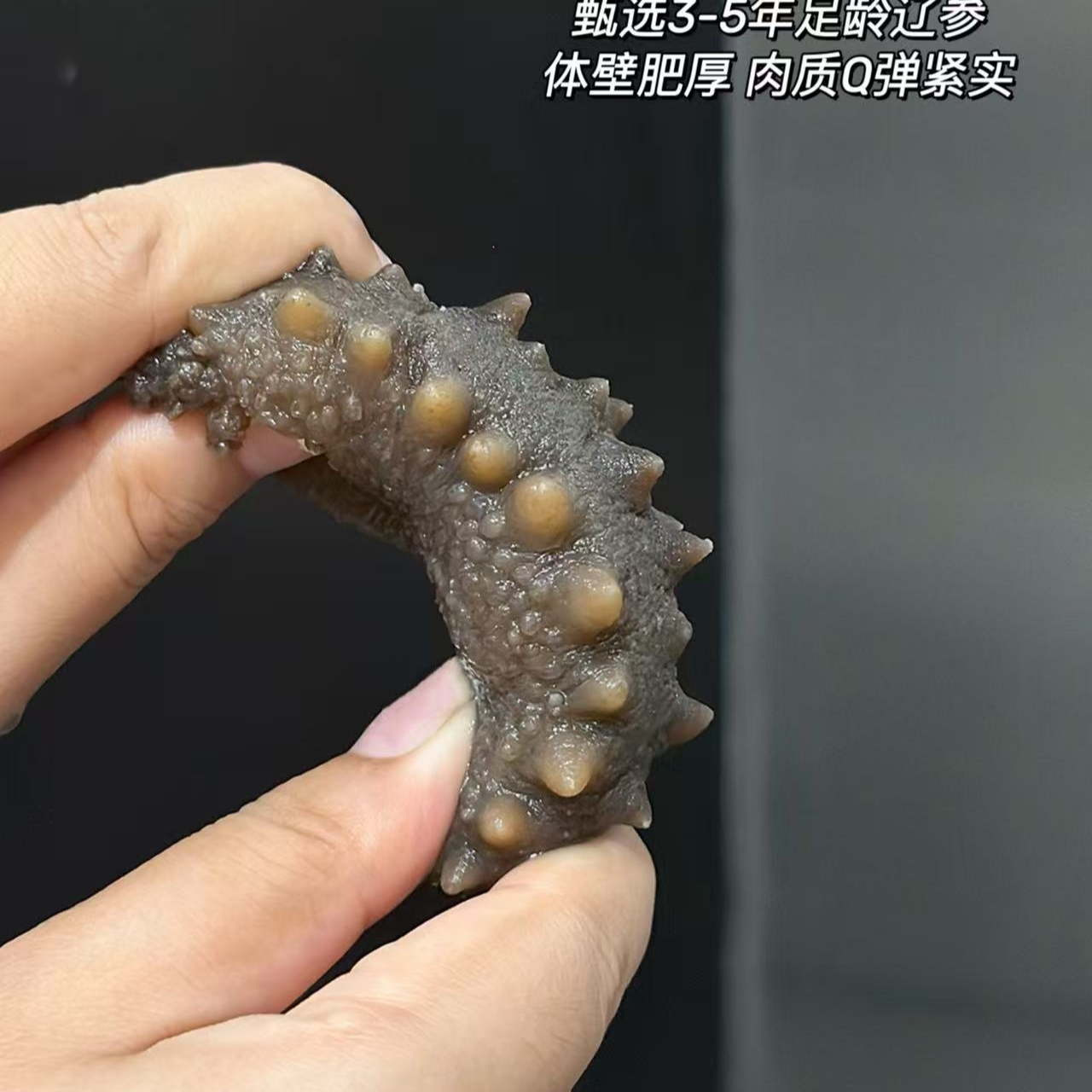 大连深海即食辽刺参独立包装Q弹口感品质好