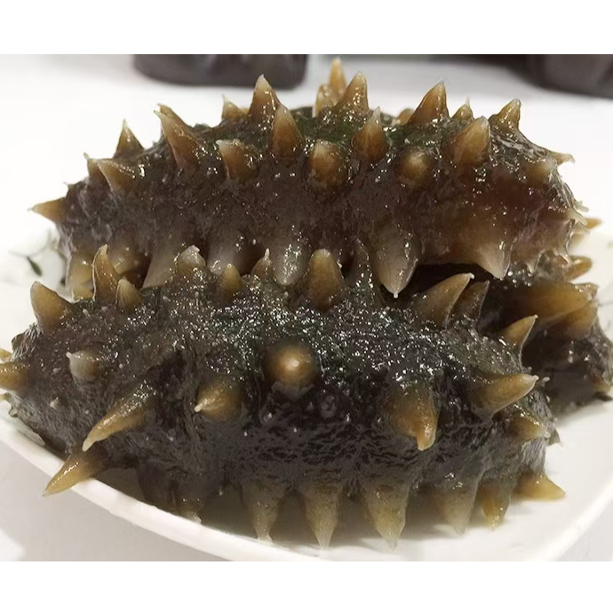 40头左右   鲜食海参Q弹口感 深海速冻鲜食海参源头工厂发货