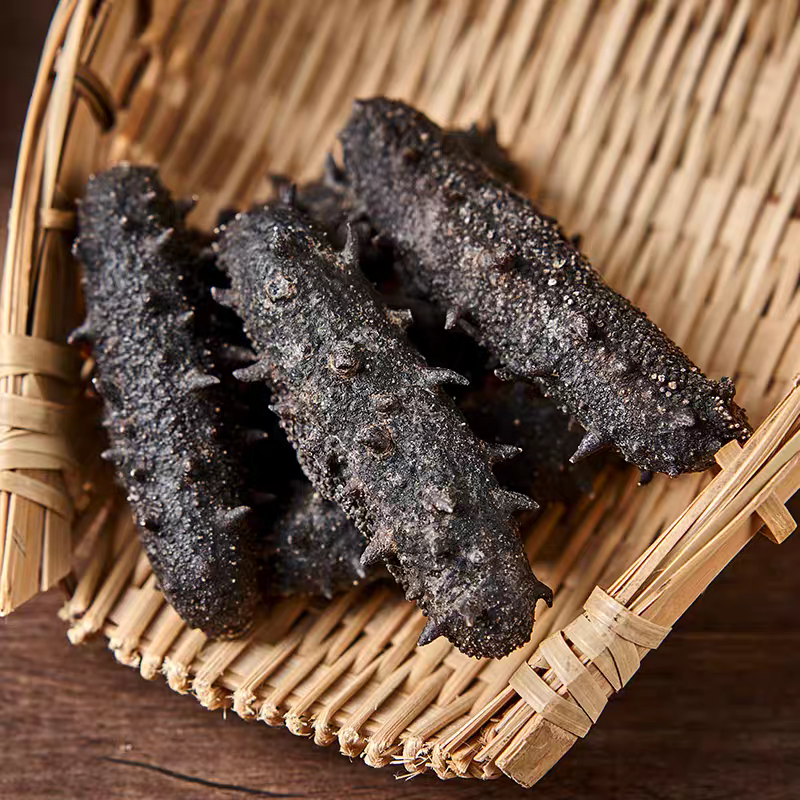 【滋补佳品】大连海参干货