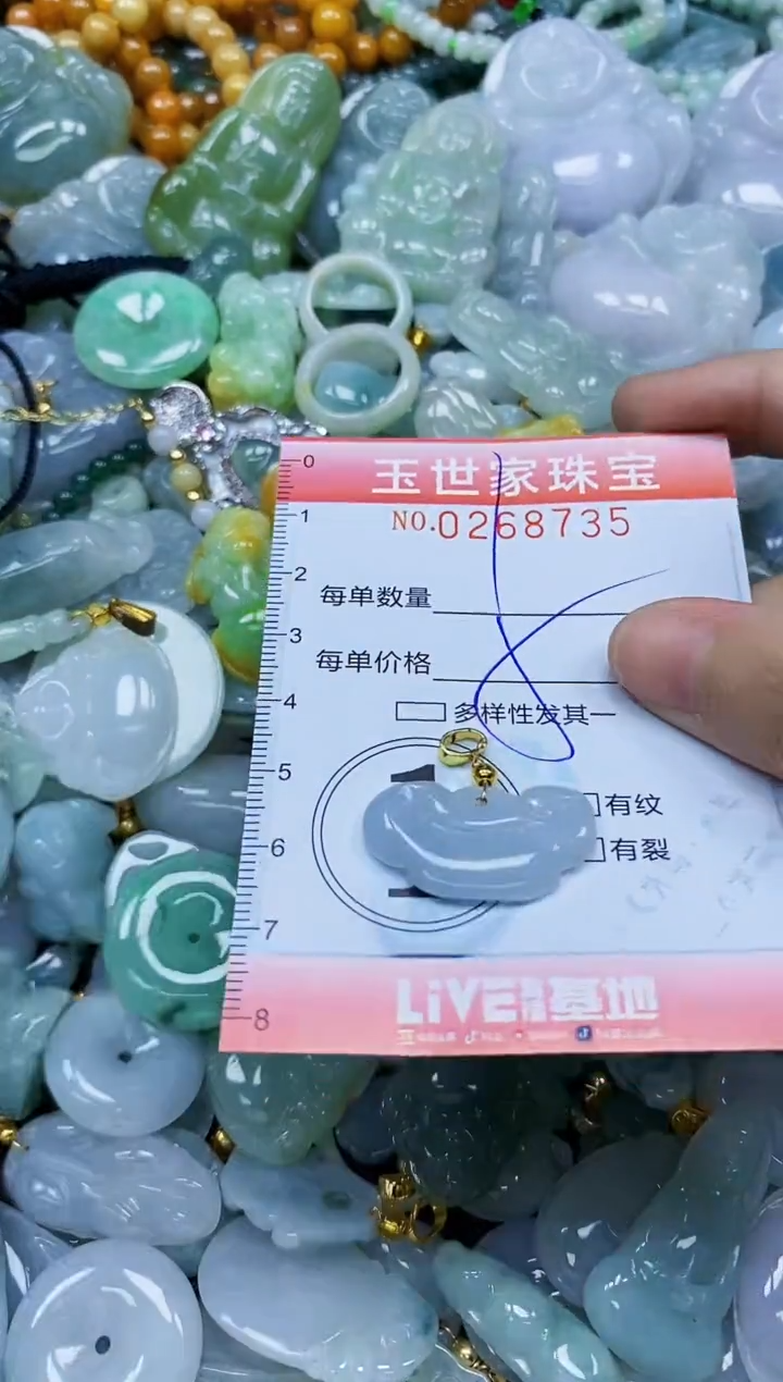 翡翠未镶嵌颈饰闪购0268735