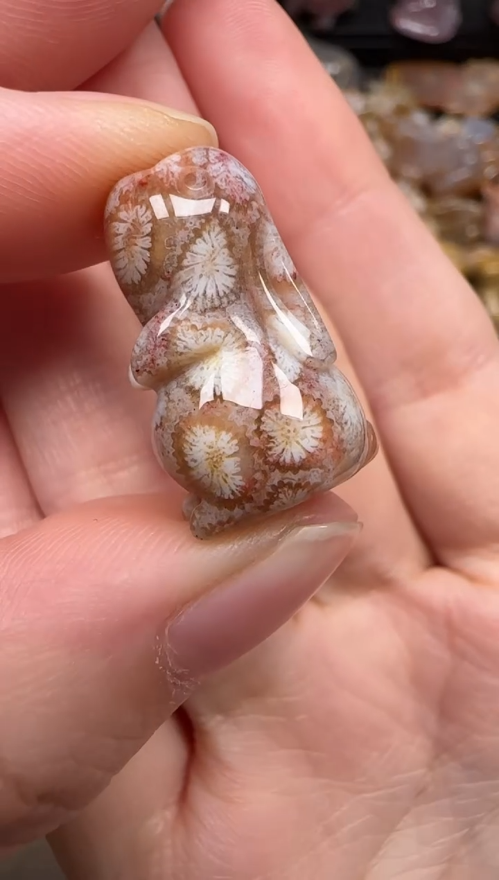 硅化珊瑚（珊瑚玉）未镶嵌颈饰627