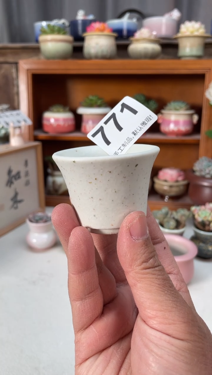 瓷片小*771小芳直播编号