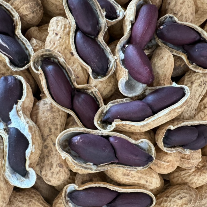 黑皮带壳(生花生)特产粗粮大颗粒黑花生