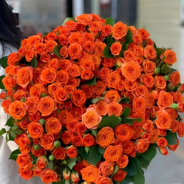 【云南鲜花】橙色芭比多头玫瑰  66