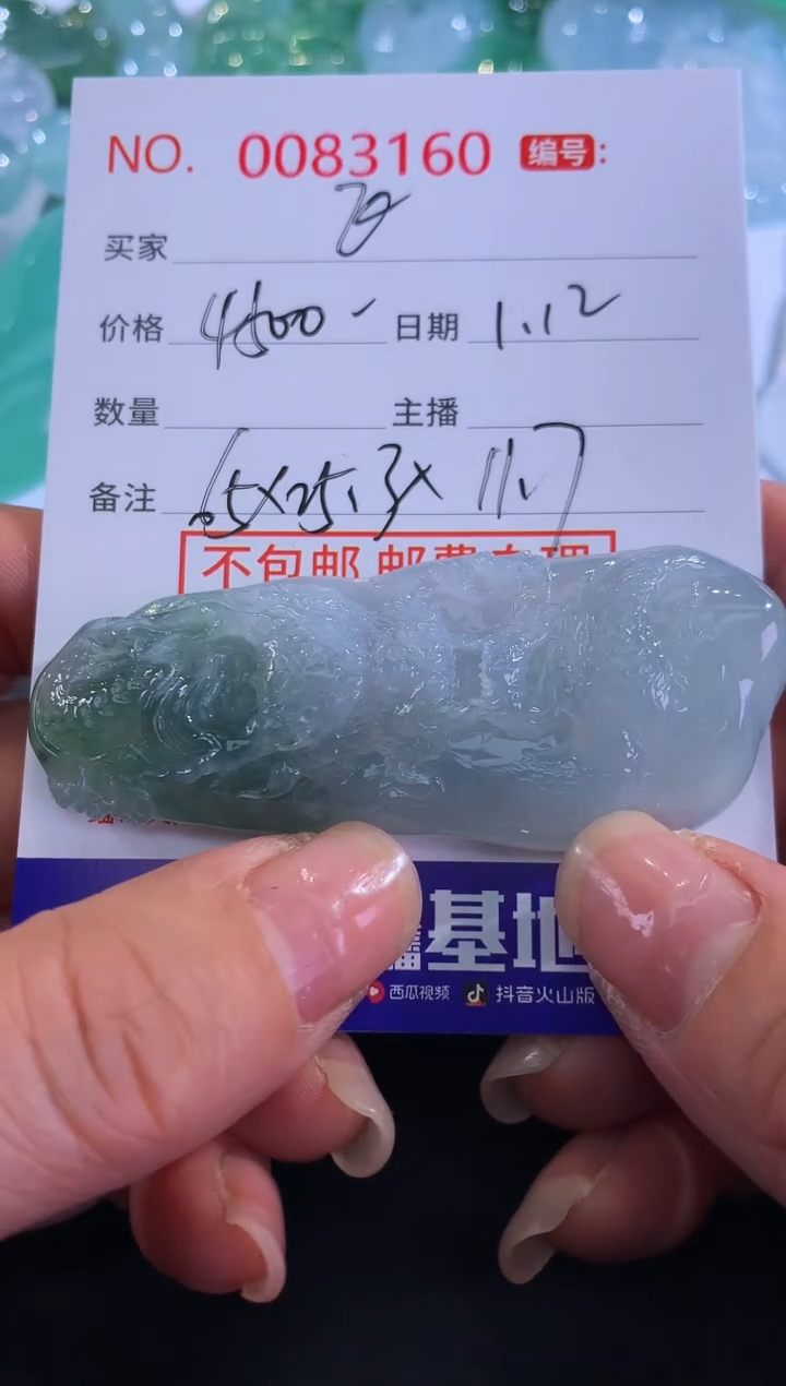 【闪购商品】翡翠颈饰未镶嵌飞
