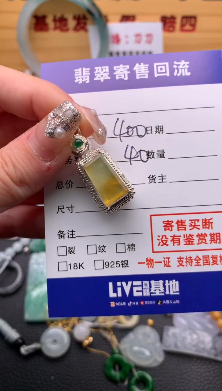 翡翠未镶嵌颈饰21013841