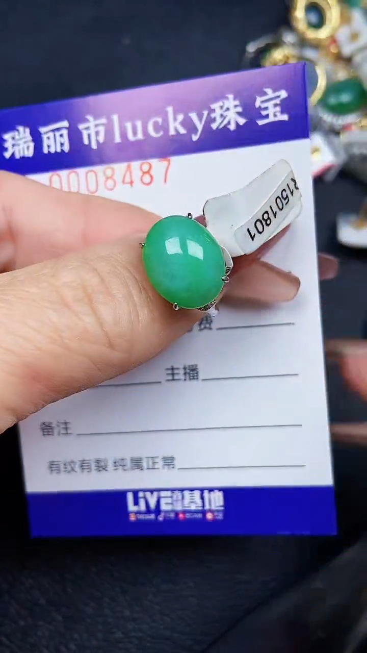颈饰银S925镶嵌翡翠8487