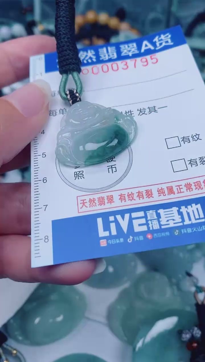 颈饰未镶嵌翡翠00003795