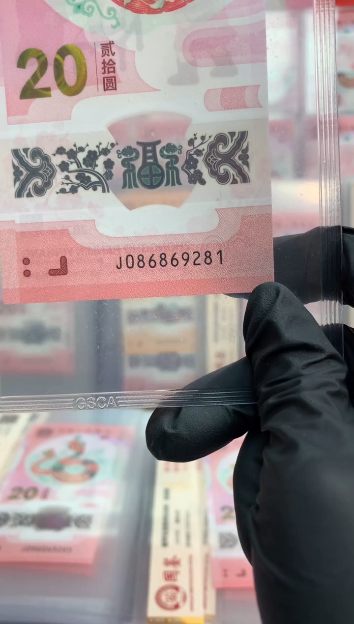 【闪购商品】塑料蛇钞 真钞【单张】9281