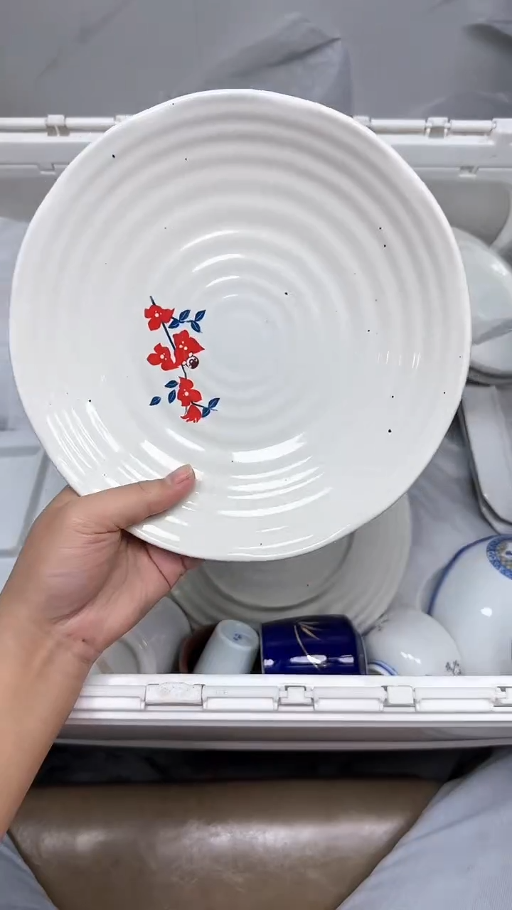 【闪购商品】451回流瓷器默认微瑕，18.8包邮