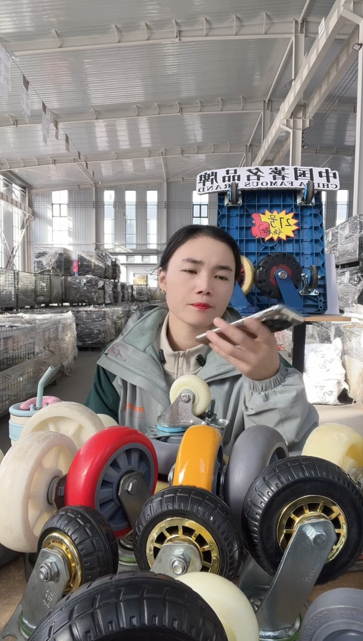 恩和专属  平尼3寸刹车*2  5寸定向*2