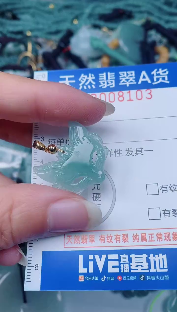 颈饰未镶嵌翡翠00008103