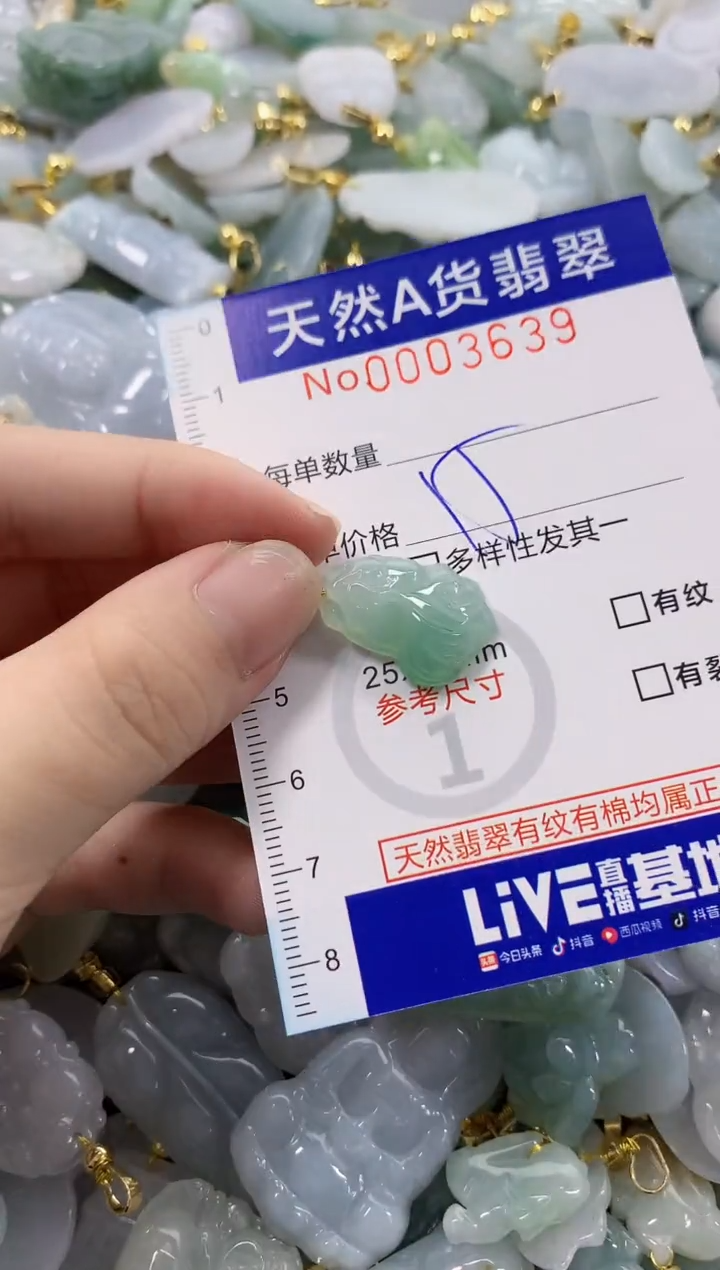 颈饰未镶嵌翡翠天然A货翡翠